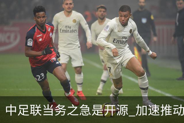 中足联当务之急是开源 加速推动中国足球职业化